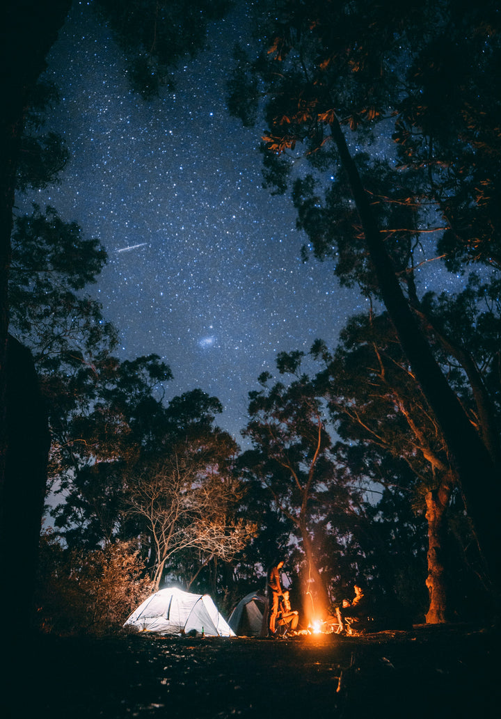 Camp Kitchen & Cooking