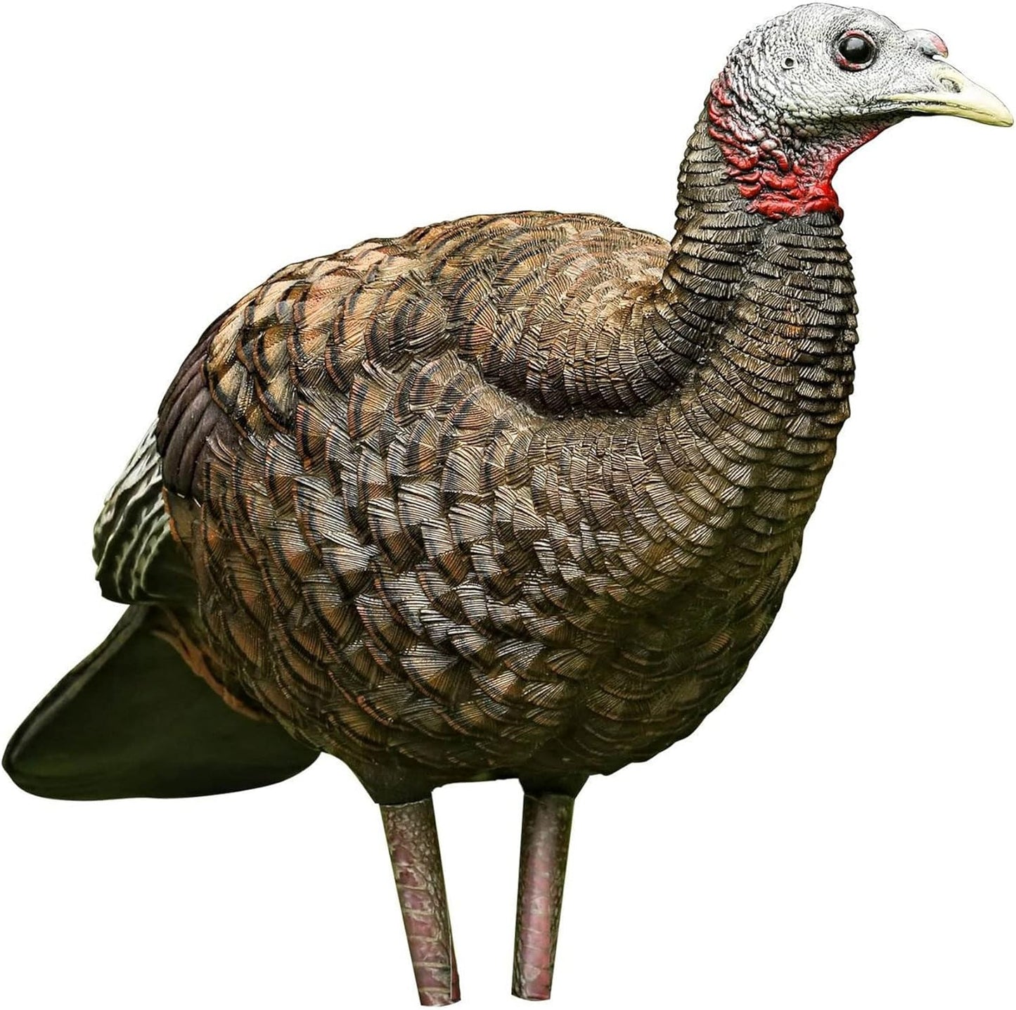 Flambeau Masters Series turkey fan decoy — spring turkey hunting full fan