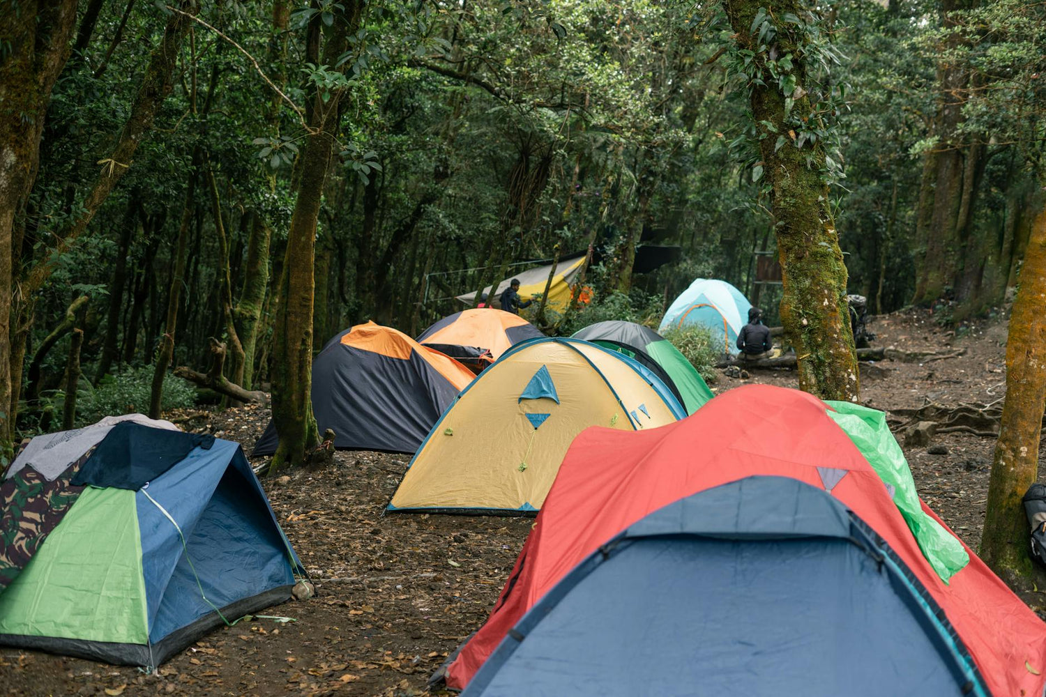 Best Camping Gear of 2026: Complete Buyer's Guide