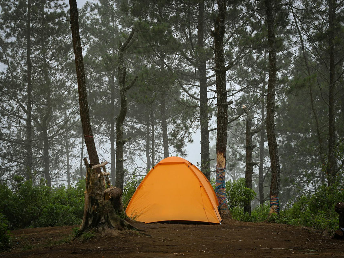 How to Choose the Best Camping Tent for Your Trip