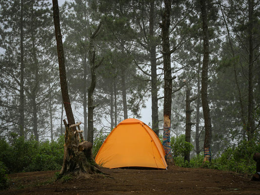 How to Choose the Best Camping Tent for Your Trip