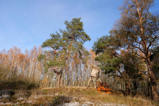 Hunting 301: Rut Timing, Entry/Exit & Shot Discipline