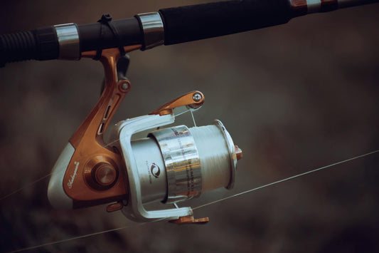 Essential Fishing Line Guide: Monofilament vs. Braid vs. Fluorocarbon