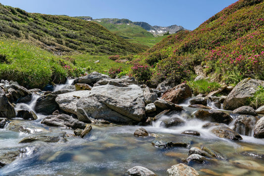 Water Purification Methods for Camping and Emergencies