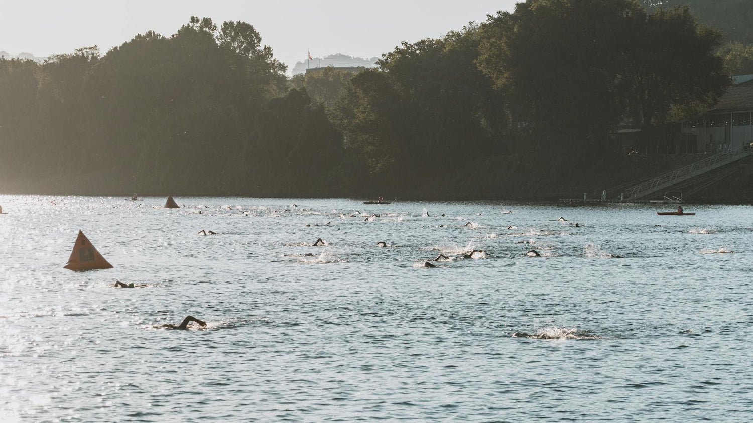 Swimming 301: Training Cycles, Race Readiness & Open-Water Efficiency
