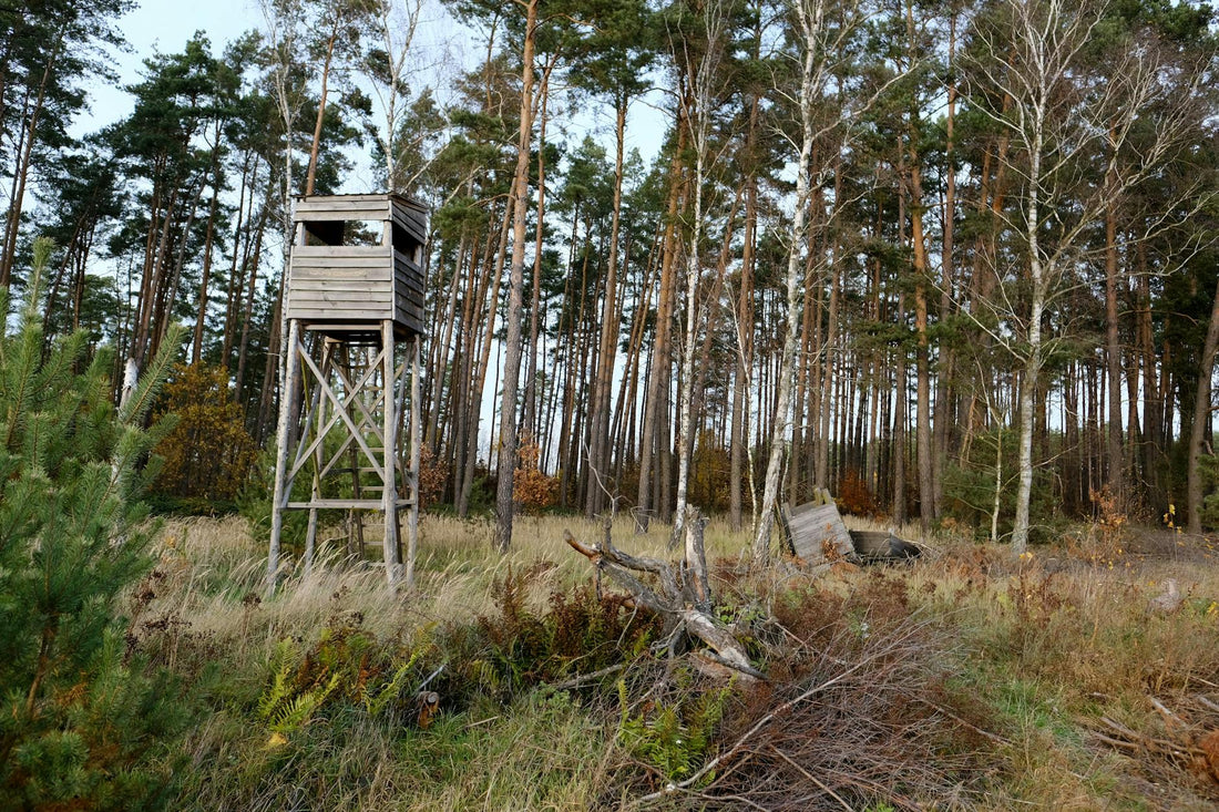 Best Hunting Gear of 2026: Complete Buyer's Guide