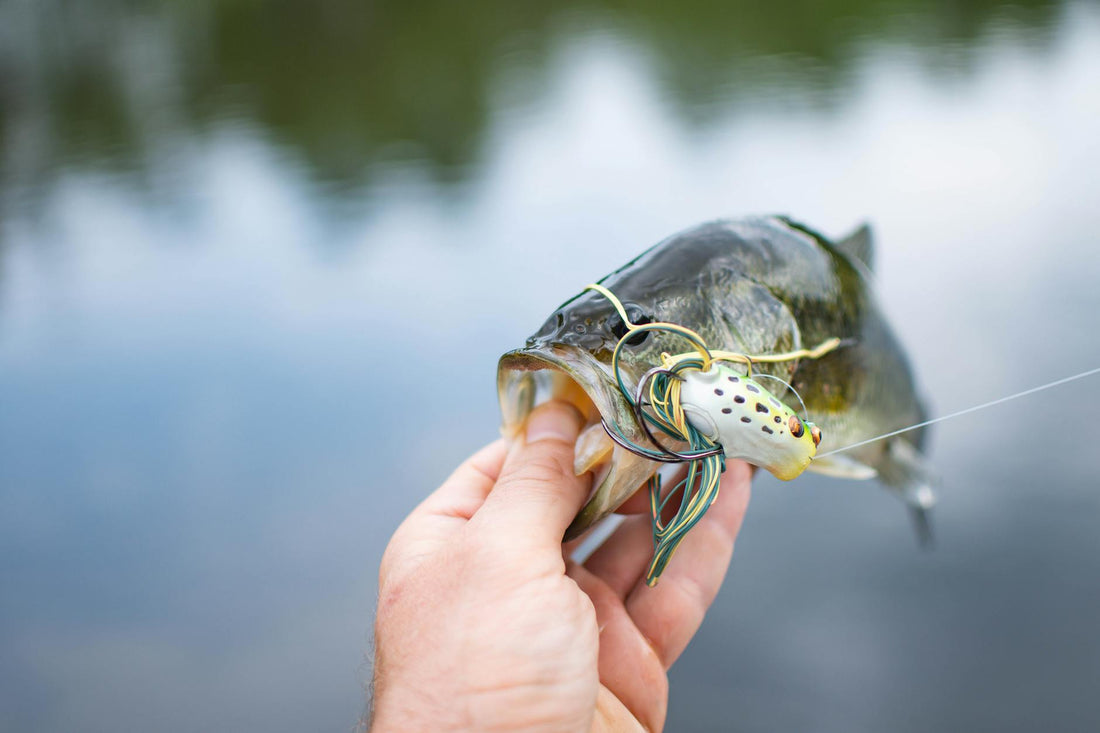 Fishing 301: Patterning Fish, Refining Cadence & Building Confidence Systems