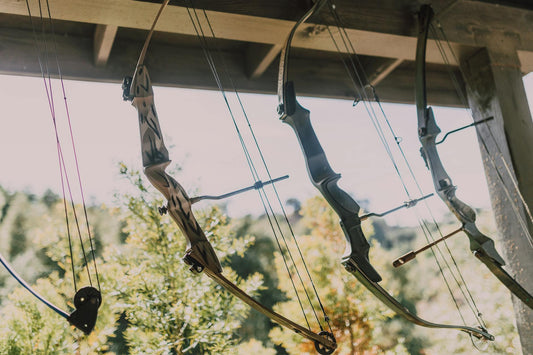 Bowhunting for Beginners: Getting Started With Archery Hunting