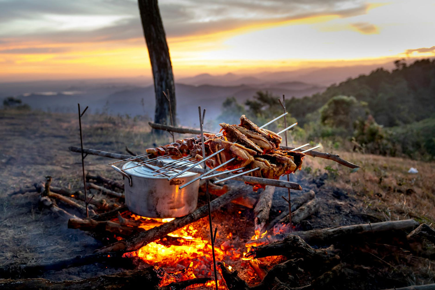 Camp Kitchen Essentials: Cook Like a Pro in the Outdoors
