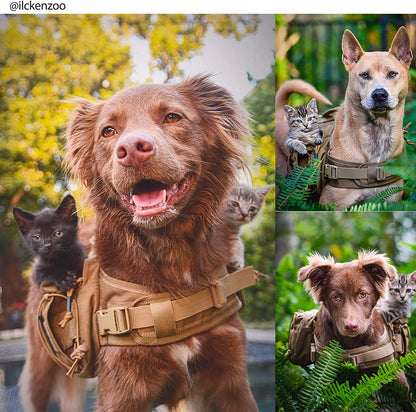 Tactical nylon dog backpack for hiking — medium large dog trail pack