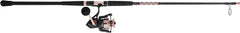 Penn Passion II Spinning Reel and Fishing Rod Combo