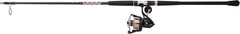 Penn Passion II Spinning Reel and Fishing Rod Combo