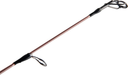 Penn Passion II Spinning Reel and Fishing Rod Combo