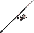 Penn Passion II Spinning Reel and Fishing Rod Combo