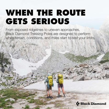 BLACK DIAMOND Trail Trekking Poles