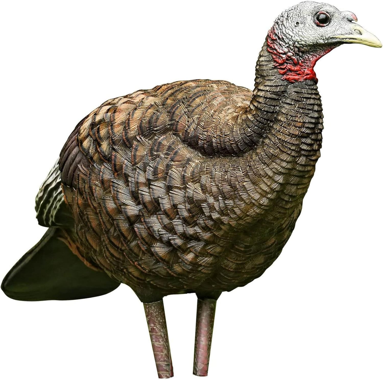 Flambeau Masters Series turkey fan decoy — spring turkey hunting full fan