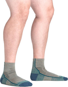 Darn Tough (Style 1959) Men's Hiker Quarter Midweight with Cushion Hiking Sock