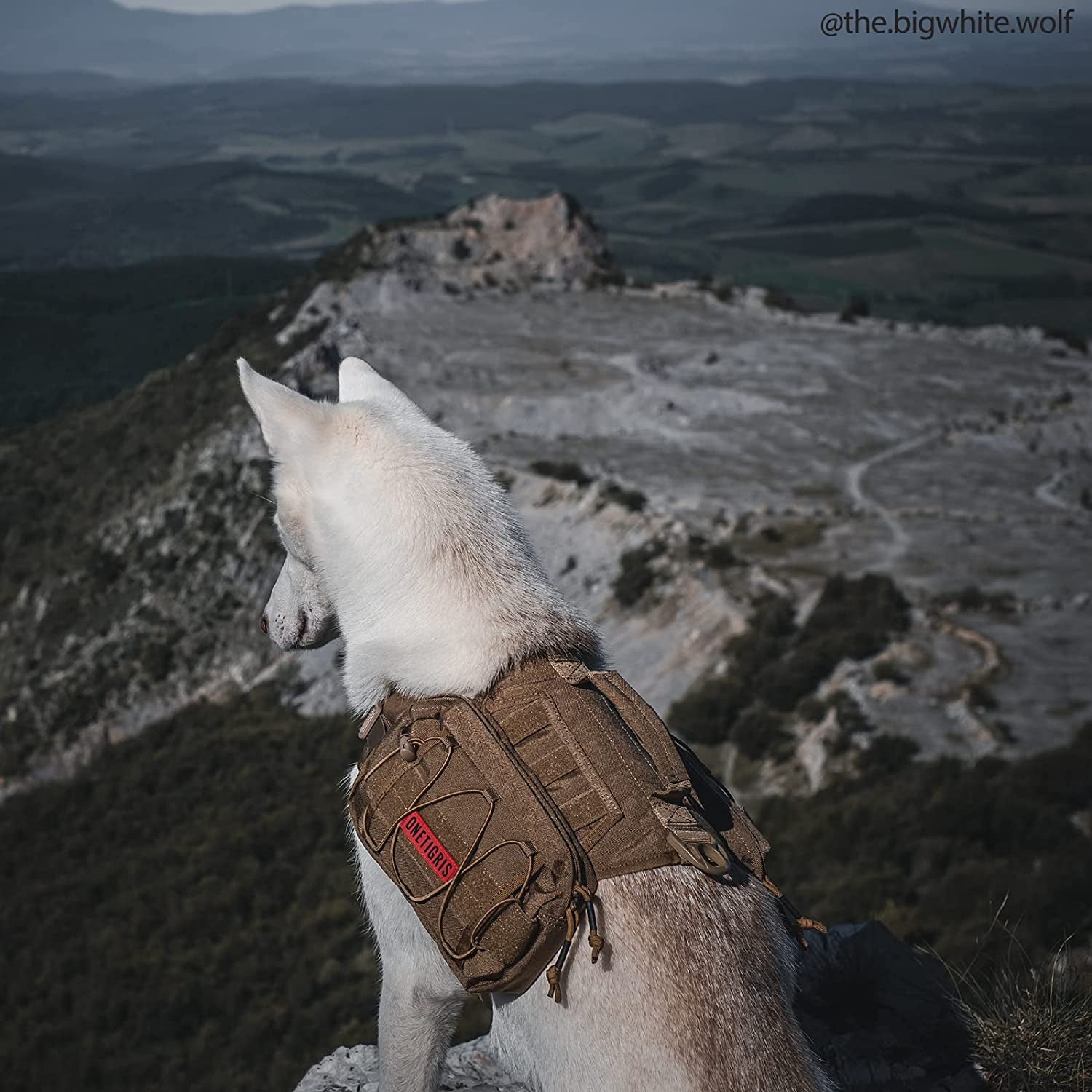 Nylon Tactical Pet Backpack for Medium & Large Dogs with Side Pockets - Ideal for Hiking, Walking, Training, and Running (Brown, Medium) - Peak Performance Outfitters