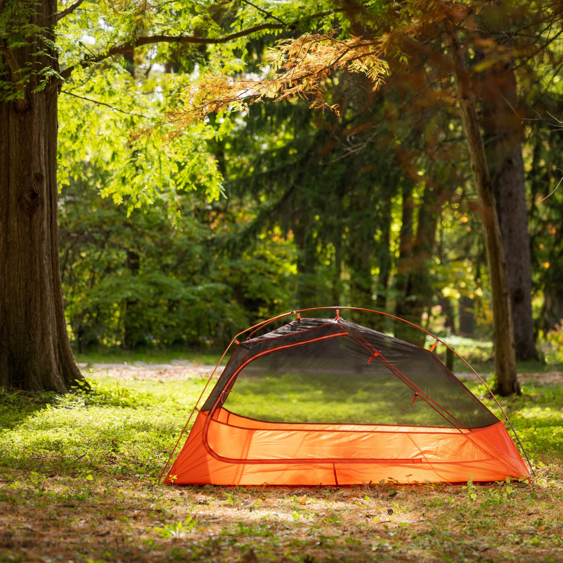 Single-Person Lightweight Backpacking Tent, 82 x 51 Inches, 3.65 lb Carry Weight, Orange - Peak Performance Outfitters