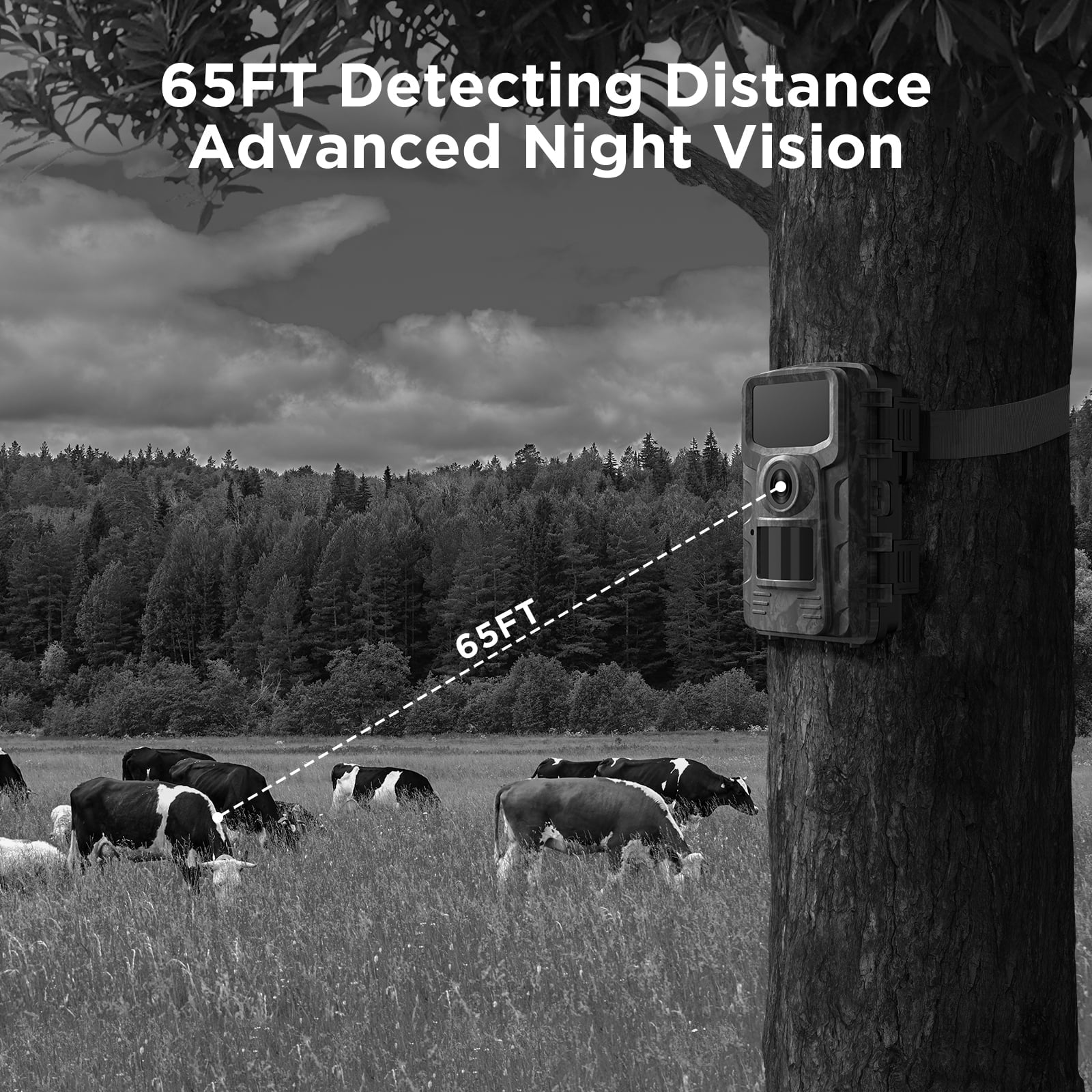 ```40MP 4K Trail Camera with SD Card for Game Hunting - Infrared Night Vision, Waterproof, Motion Activated, 120° Wide Angle, 2.0 LCD Display``` - Peak Performance Outfitters