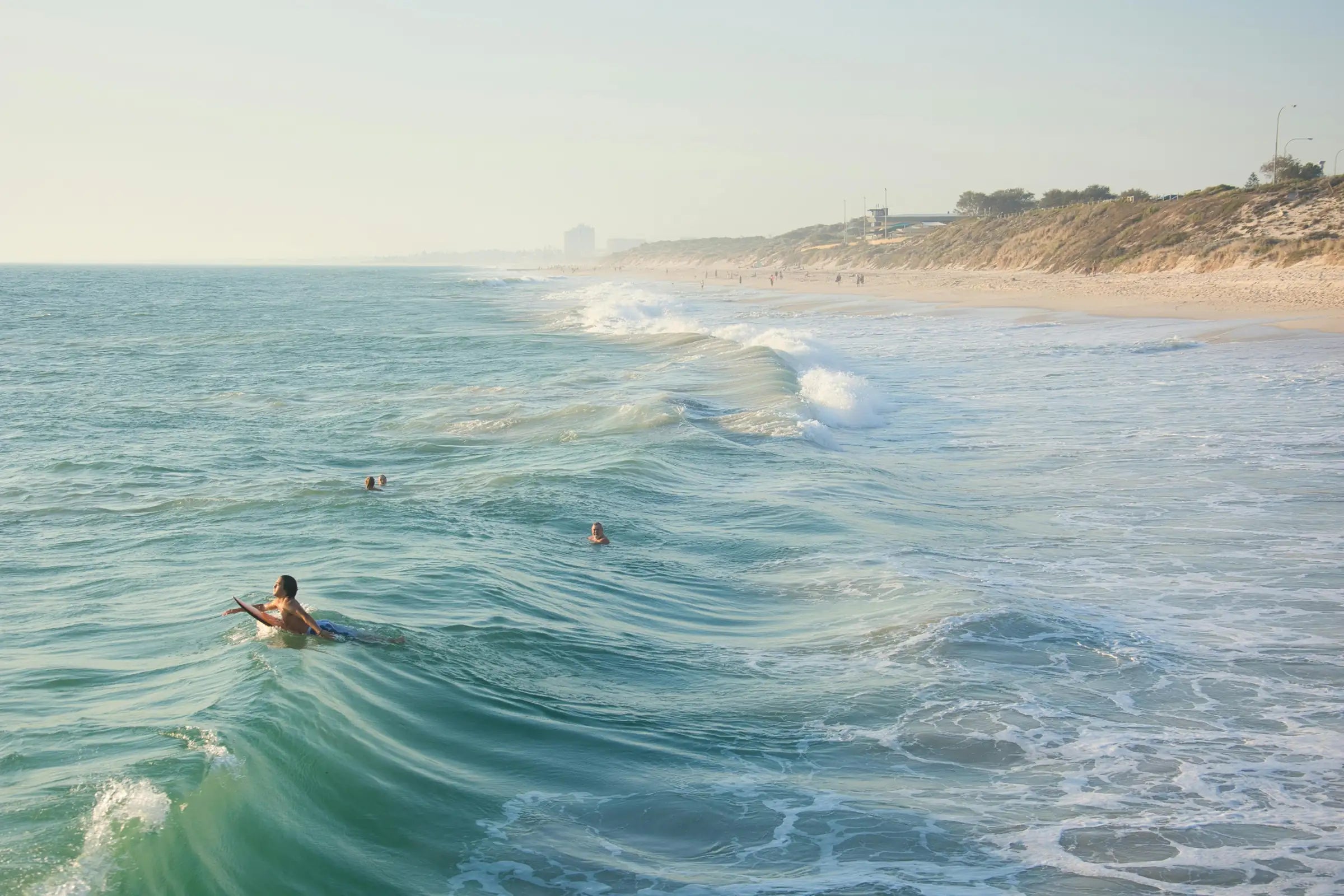 Surfing & Swimming